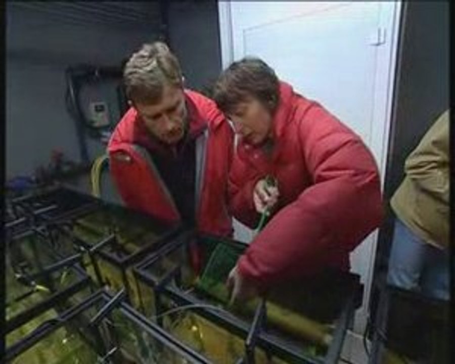 La route de l'eau - Menace sur l'or blanc