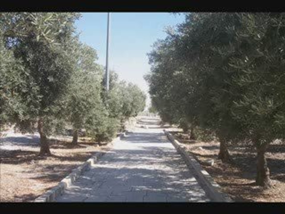 JERUSALEM (EL QUDS) : LA VILLE TROIS FOIS SAINTE
