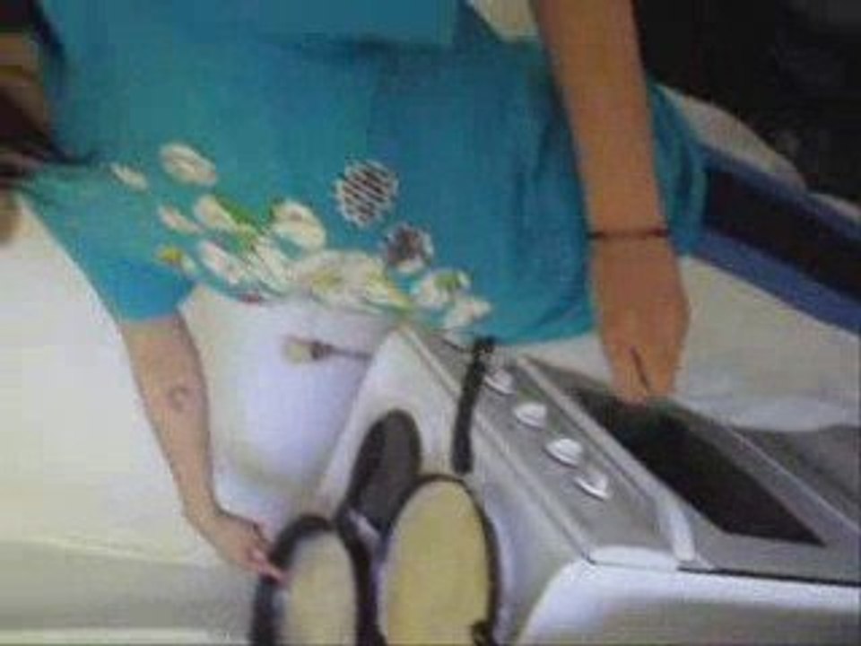 summer 09 la boutinardiere