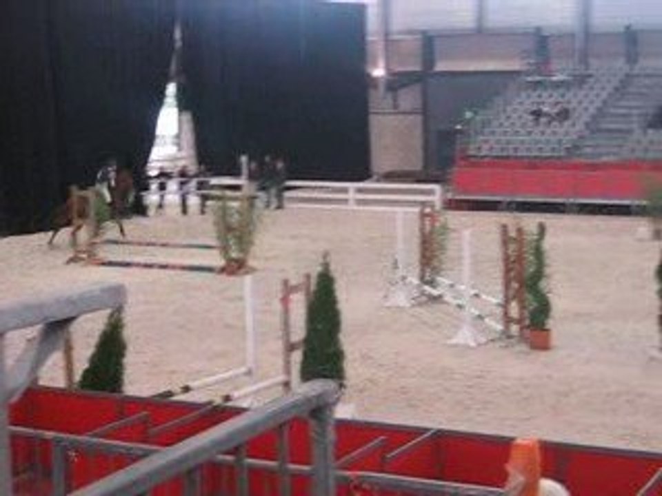 salon du cheval