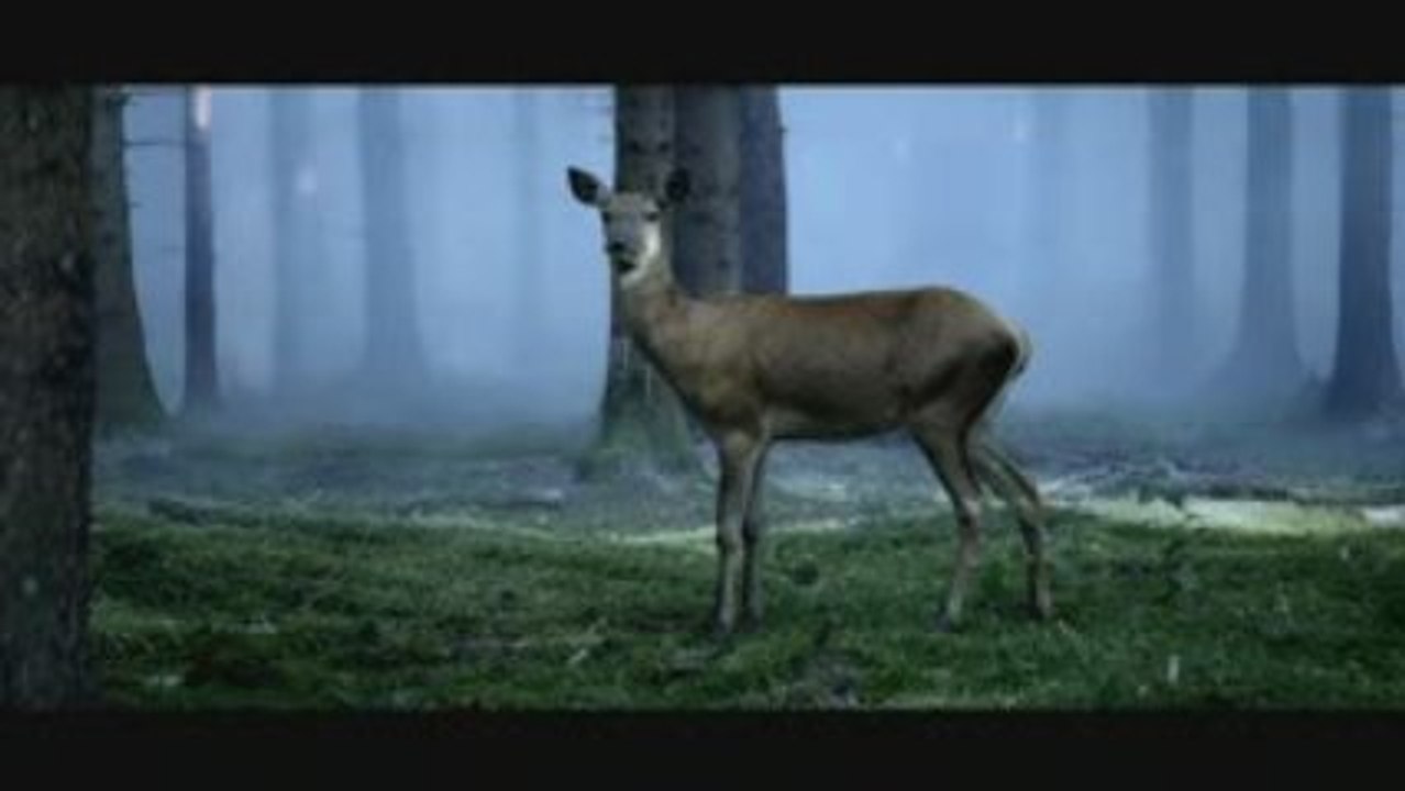 Ribery Faisladiff Nike