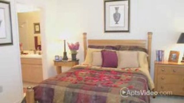 ForRent.com Forest Brook Apartments in Lewisville, TX