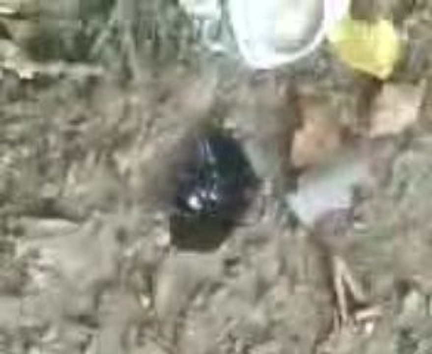 Tests des lunettes Fallan