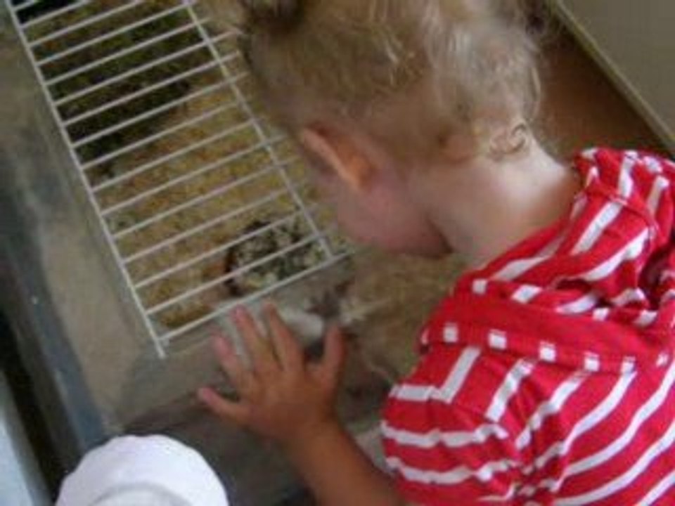 Orlane decouvre sa lapine