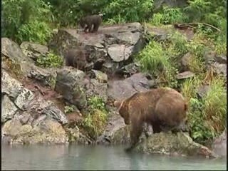 Should I Only Use My Message On Hold To Promote My Products