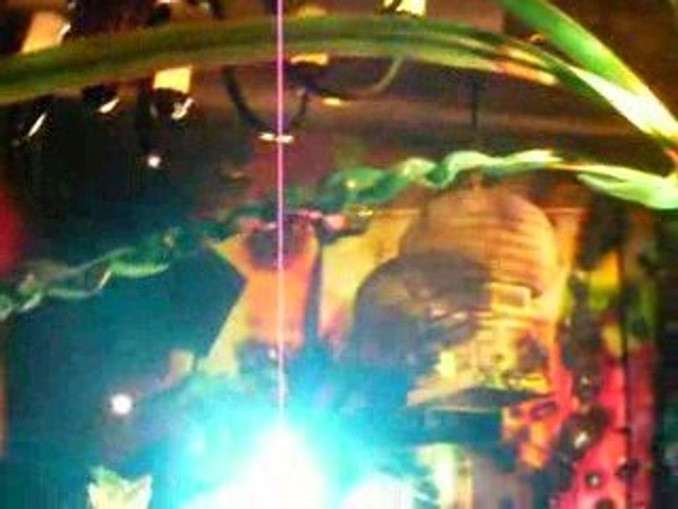 Bal du Masque in Amsterdam