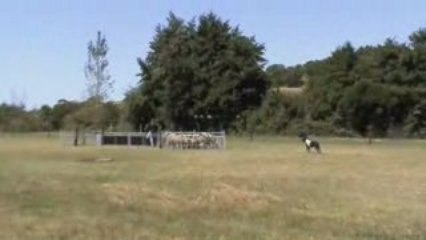 Labruguière Tarn 2009 Temis