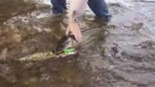 BIG PIKE FISHING (Amazing catch)