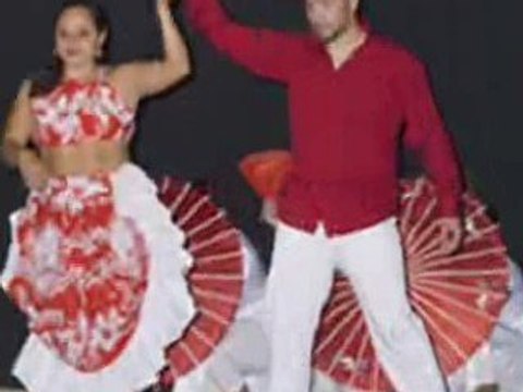 ASIA SEGA Vanilla Metiss 2009