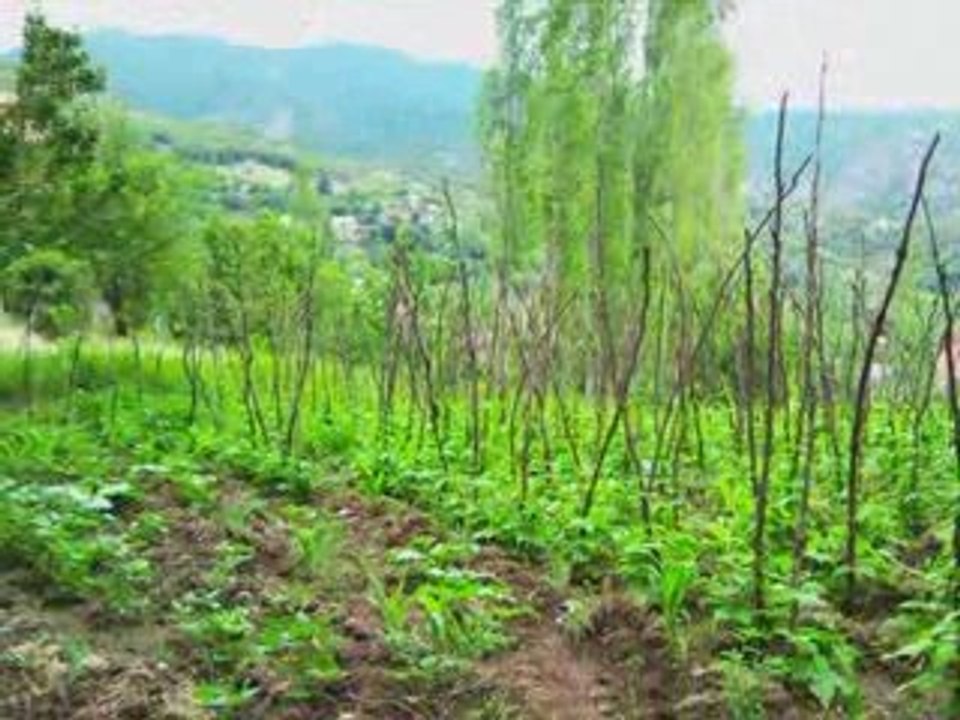 Tokat niksar şıhlar köyü