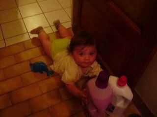 premier pas a 4 pattes