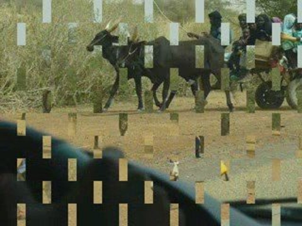 montage photos de mon séjour au Niger