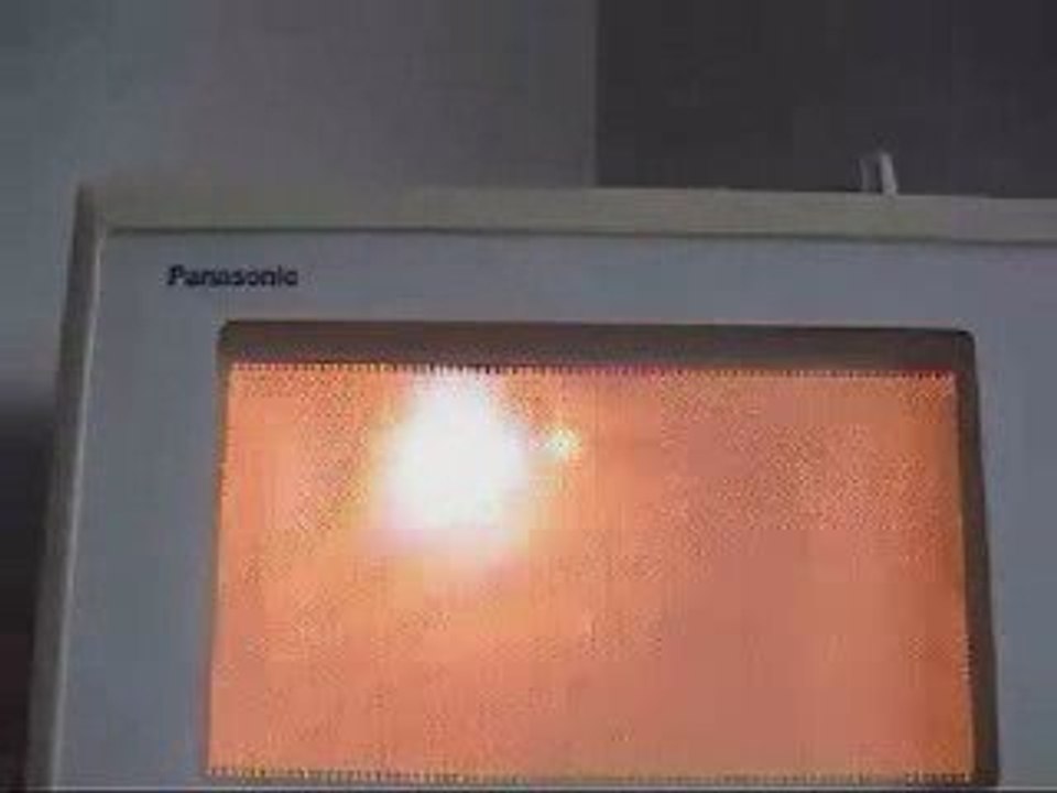 Feu dans le micro ondes