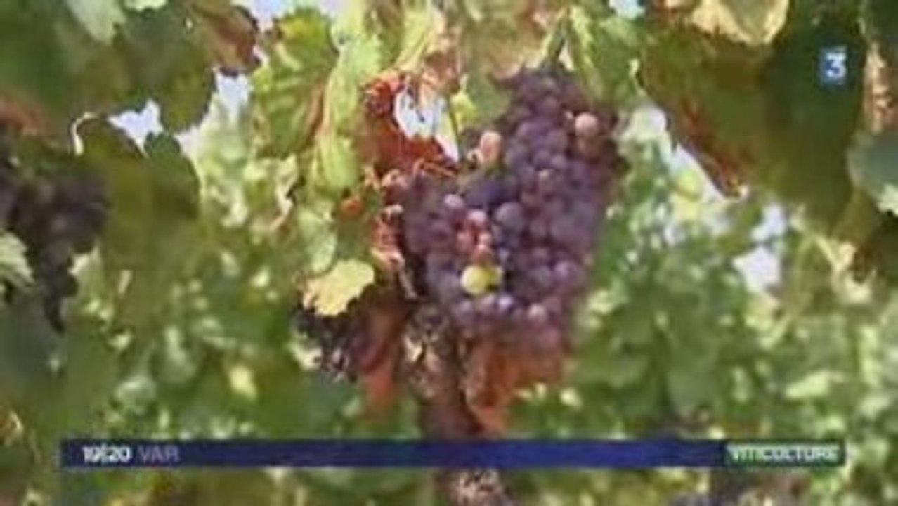 JT France3 Var – Jeudi 27 Aout 2009