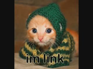 MUST SEE - Very Funny CATS 4, funny animals