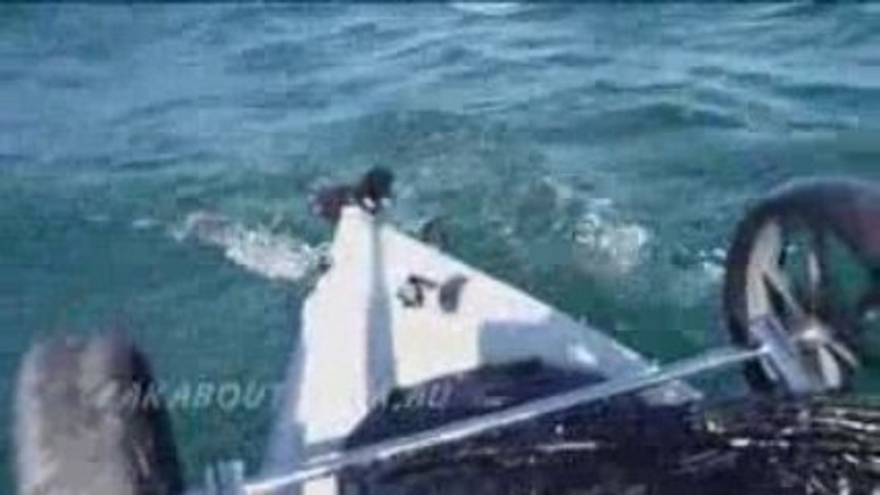 Kayak Fisherman vs Great White Shark