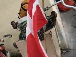 VeloSoleX-touring: Giant Centipedes' Stuka Tour '09