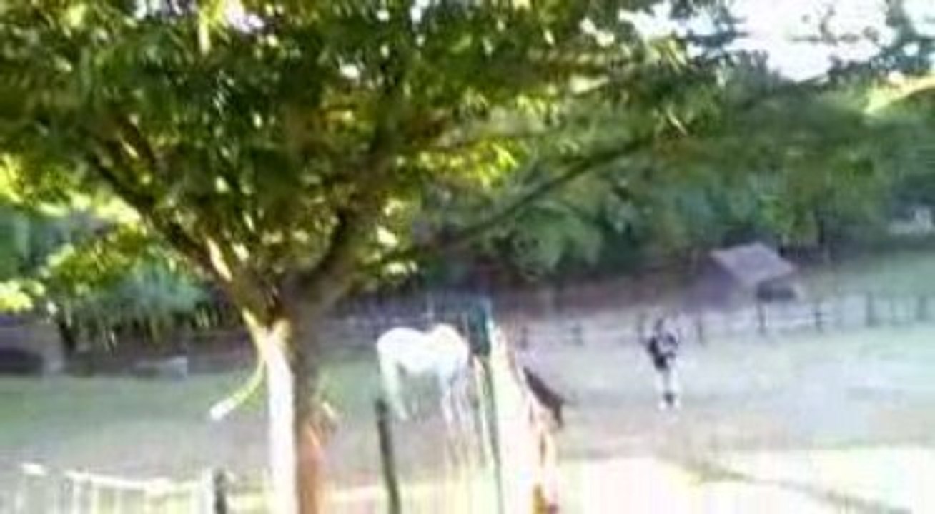 Benko au Parc