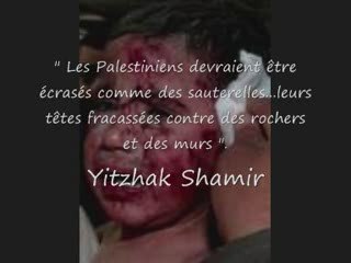 Palestine vs Sioniste_Un combat perdu d'avance