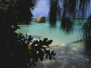 السيد الشيشيني وحمدي الكنيسي علي صوت العرب