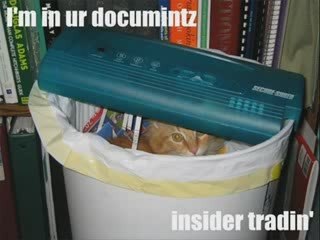 MUST SEE - Very Funny CATS 21, funny animals