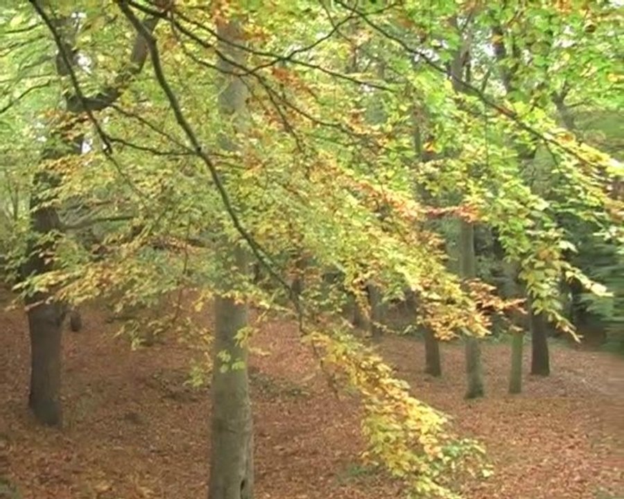 Bretagne enchantée 3