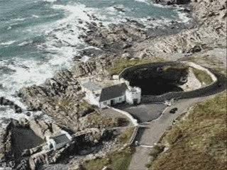 Weird funny gifs of animals