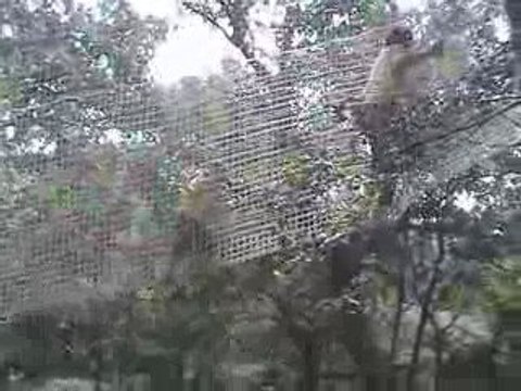 2009-08-23-Le bois des lutins-1-1ère montée