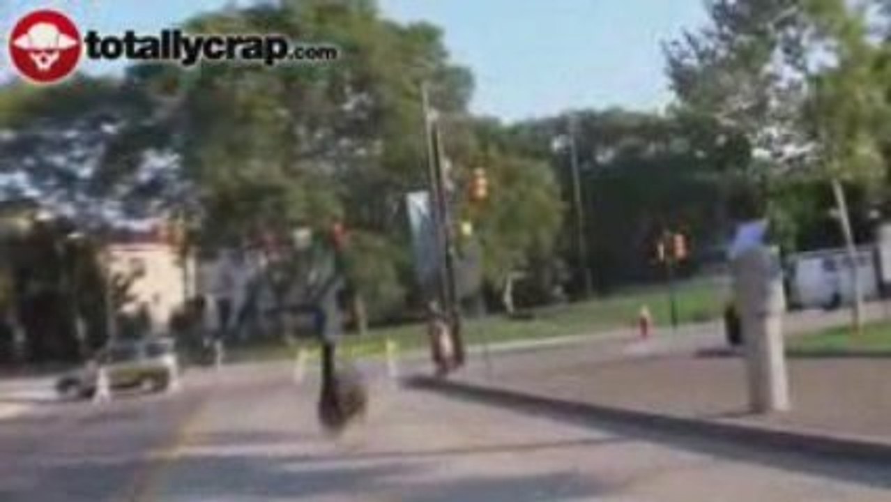 9 saltos backflips pogo