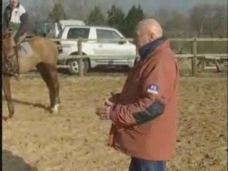 Position du cavalier a cheval (d'Orgeix)