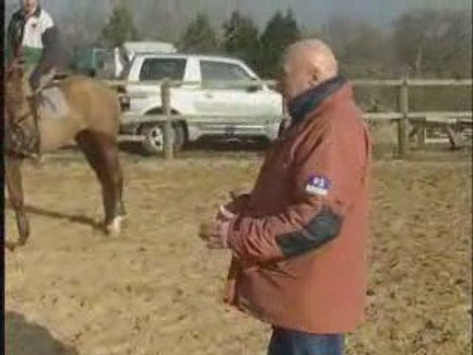 Position du cavalier a cheval (d'Orgeix)
