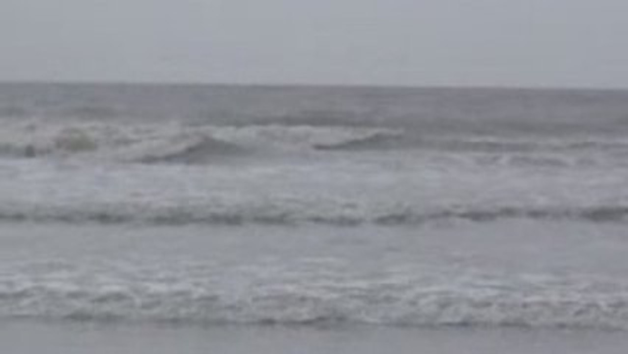 WAVES