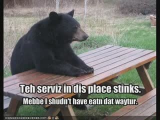 MUST SEE - Funny Animals 2 !, funny animals