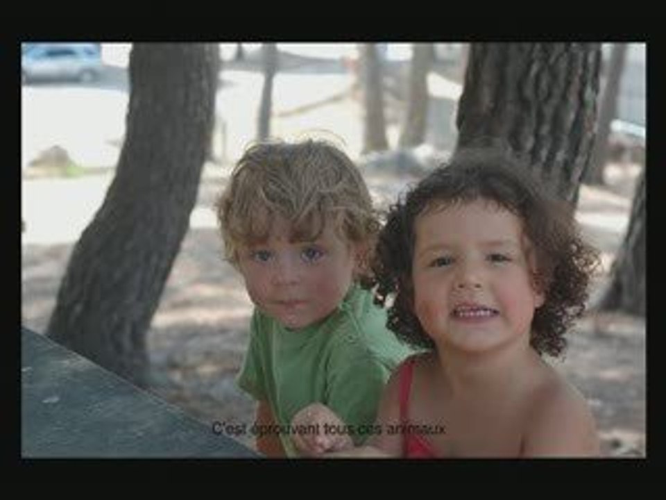 vacances2009