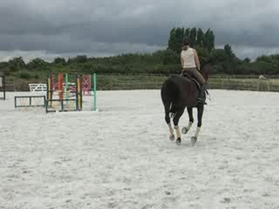 DAUERBRENNER changements de pieds aux 2 temps