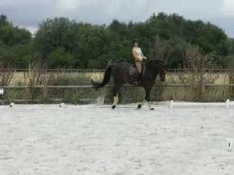 DAUERBRENNER changements de pieds aux 4 temps et 3 temps