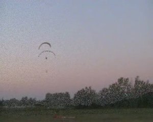 Vol de JP le 27.08.09 à Dourgne