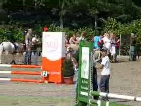 Zomerdijks Willie Wortel étalon welsh A show jumping