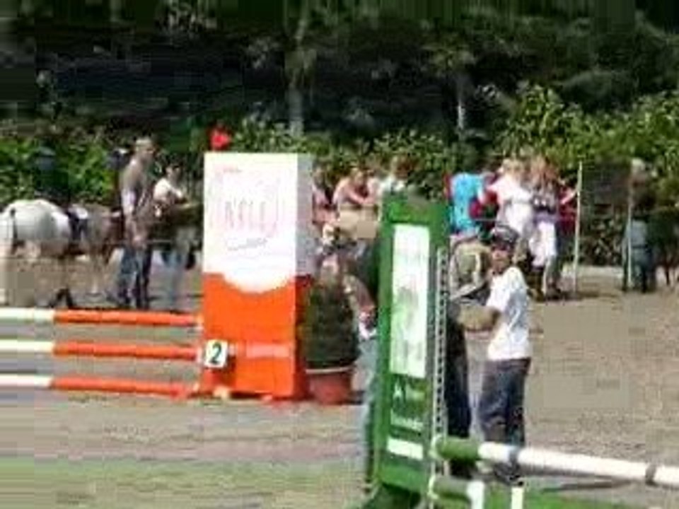 Zomerdijks Willie Wortel étalon welsh A show jumping