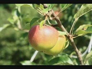 Road trip 2009 grèce-Roumanie