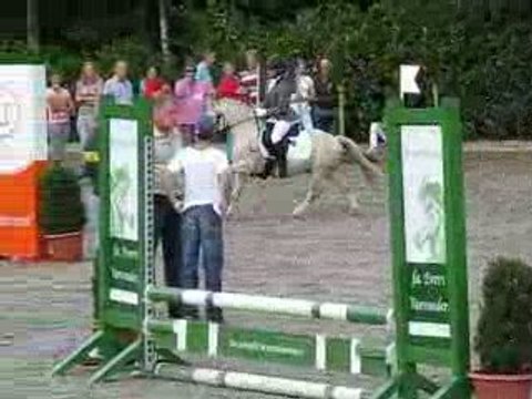 Zomerdijks Willie Wortel étalon welsh A jump off