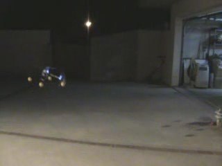 HoneyBee FP 12D vs 300