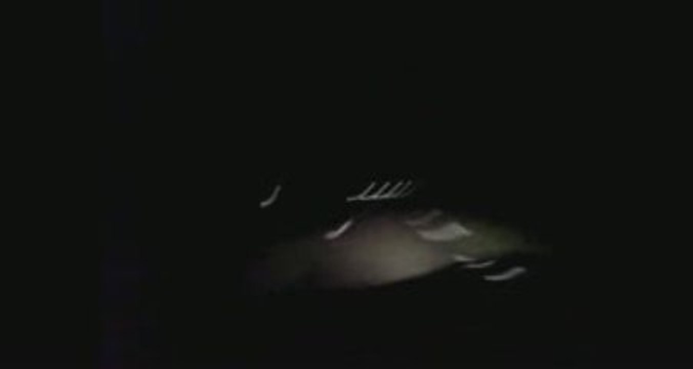 406