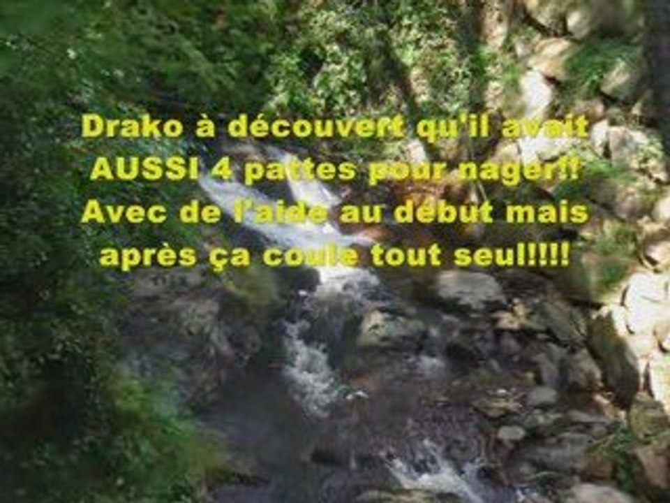 ZINNIA ,DRAKO et l'eau en Corrèze