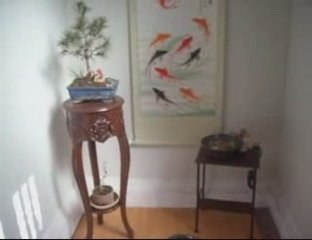 Bonsai Magico - Bunjin - Video 36 - bonsaimagicobunjin.com