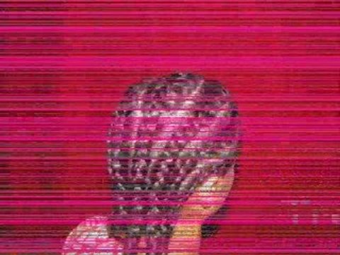 Tresses collées afriquaines ( cornrows )