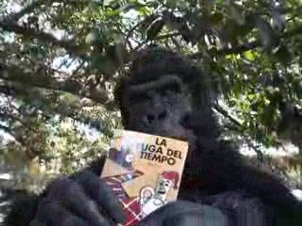 El Libro del Gorila.