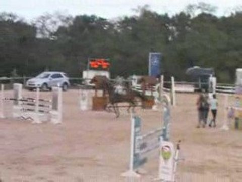 natif 115 arnas sauvageonne 30aout