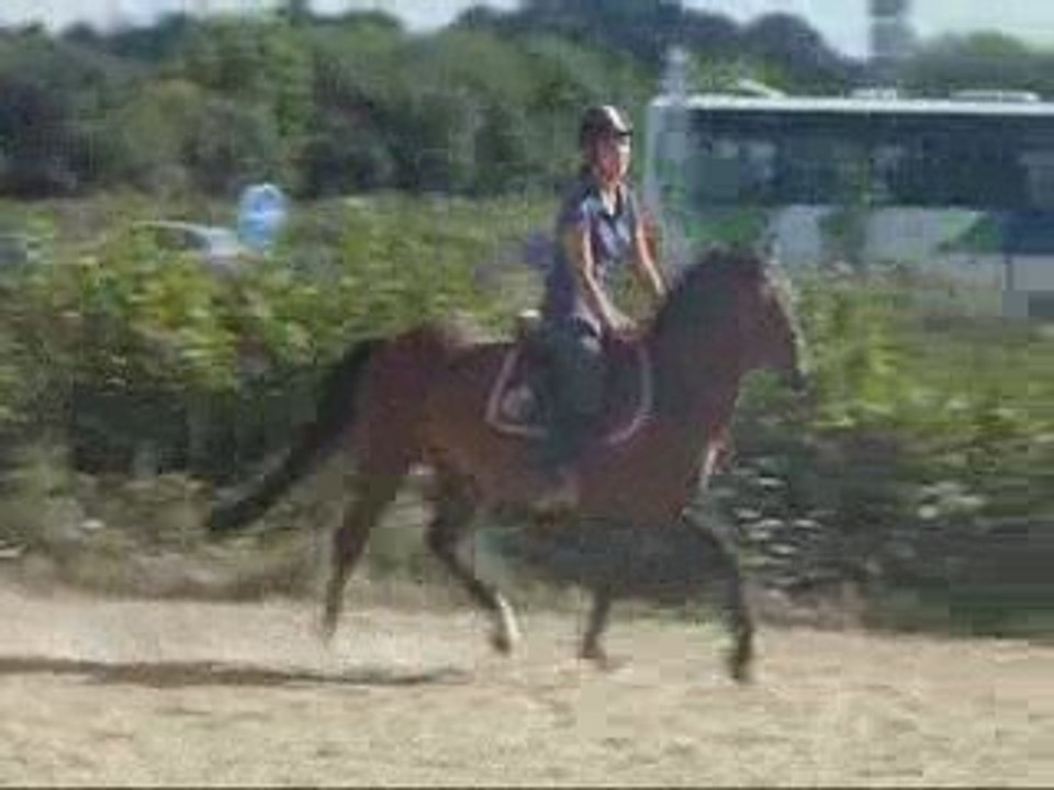 Mercredi 27 août 2009