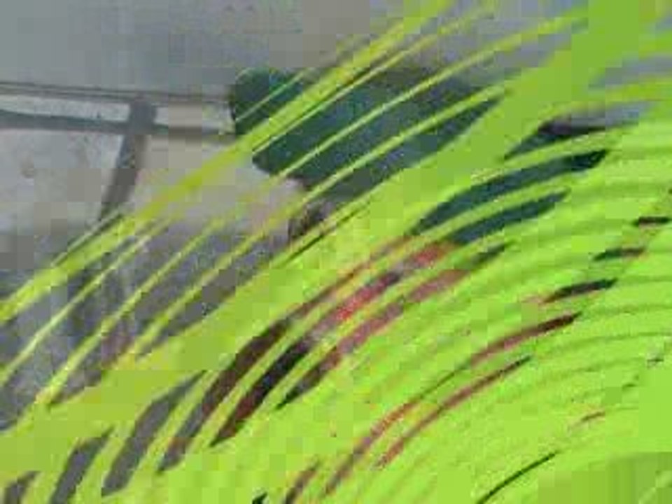 Les sauveurs de Betty-Catherine